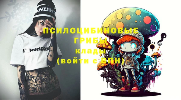 амф Алексин