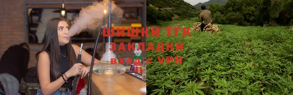 a pvp Алексеевка