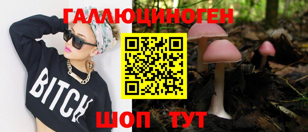 Псилоцибиновые грибы GOLDEN TEACHER  Псилоцибиновые грибы мицелий  Родники  Вход с VPN 